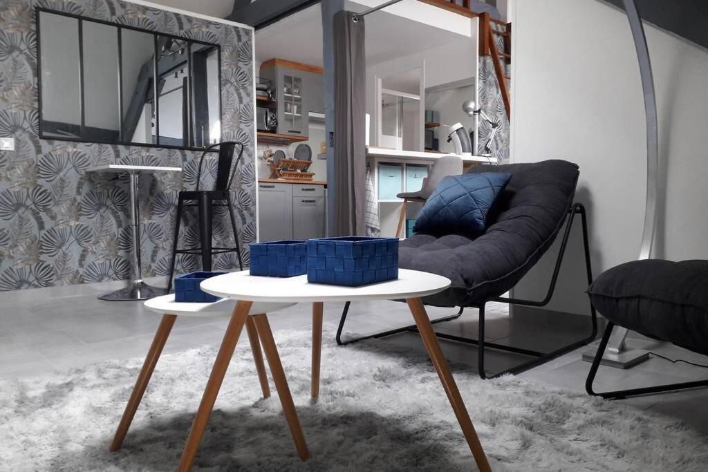 Loft Haut De Gamme Centre Montargis, Place De Parking, Local A Velos, Linge De Lits Et Serviettes, Coin Riviere Amenage, Hamac, Epicerie, Velos En Option, Tout Confort Jusqu'A 4 Voyageurs Екстериор снимка