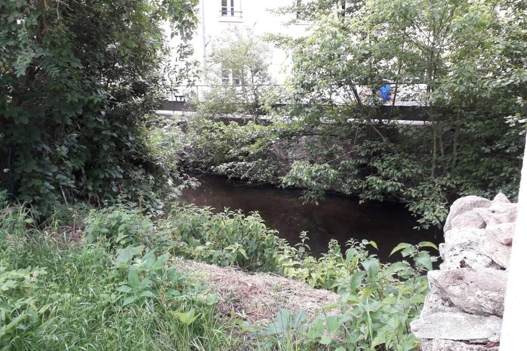 Loft Haut De Gamme Centre Montargis, Place De Parking, Local A Velos, Linge De Lits Et Serviettes, Coin Riviere Amenage, Hamac, Epicerie, Velos En Option, Tout Confort Jusqu'A 4 Voyageurs Екстериор снимка