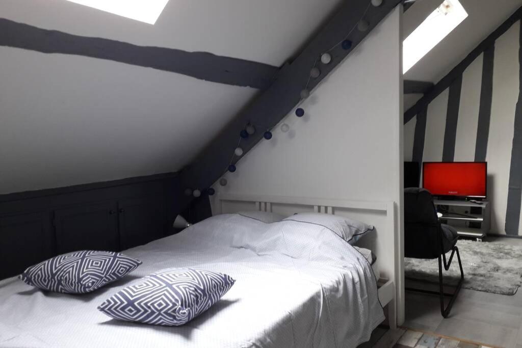 Loft Haut De Gamme Centre Montargis, Place De Parking, Local A Velos, Linge De Lits Et Serviettes, Coin Riviere Amenage, Hamac, Epicerie, Velos En Option, Tout Confort Jusqu'A 4 Voyageurs Екстериор снимка