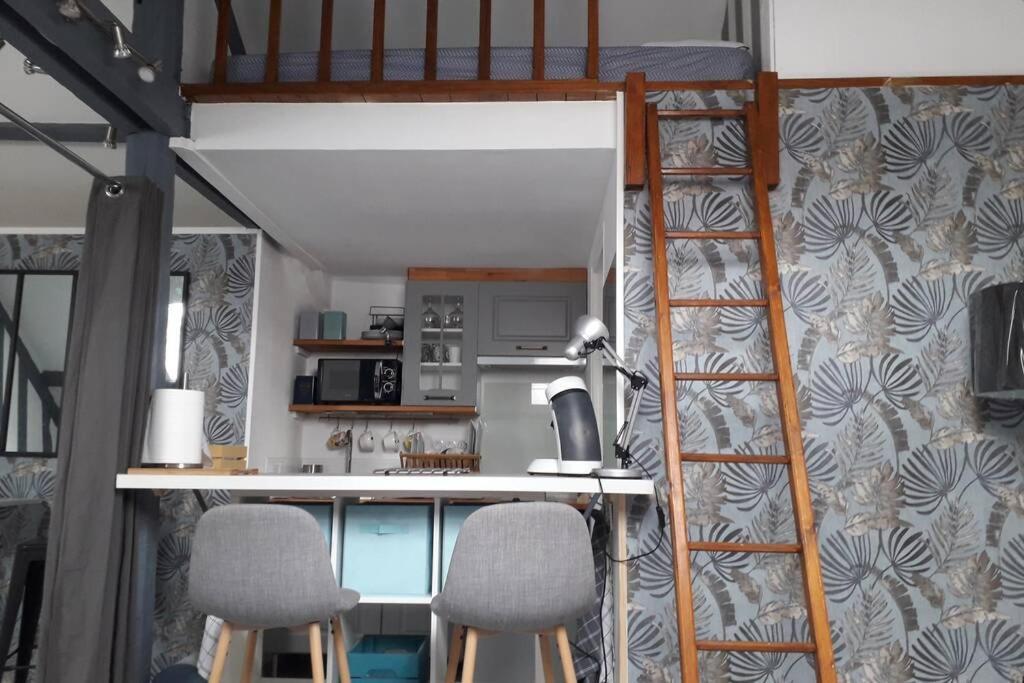Loft Haut De Gamme Centre Montargis, Place De Parking, Local A Velos, Linge De Lits Et Serviettes, Coin Riviere Amenage, Hamac, Epicerie, Velos En Option, Tout Confort Jusqu'A 4 Voyageurs Екстериор снимка
