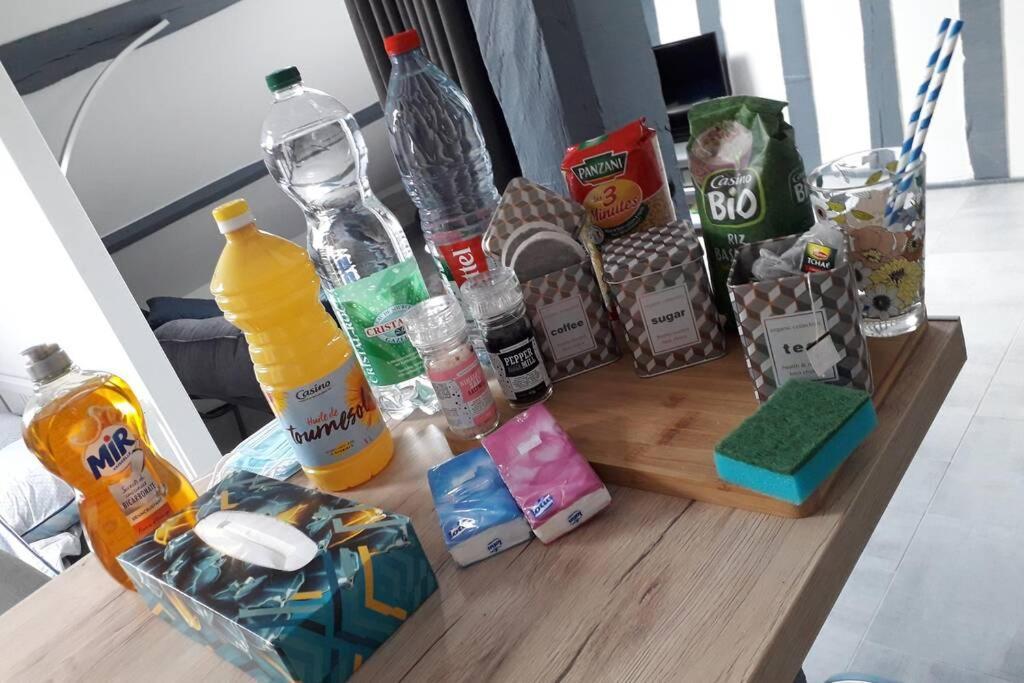Loft Haut De Gamme Centre Montargis, Place De Parking, Local A Velos, Linge De Lits Et Serviettes, Coin Riviere Amenage, Hamac, Epicerie, Velos En Option, Tout Confort Jusqu'A 4 Voyageurs Екстериор снимка
