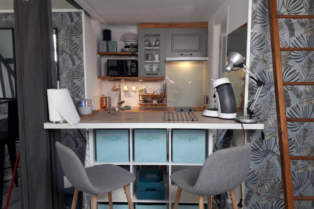 Loft Haut De Gamme Centre Montargis, Place De Parking, Local A Velos, Linge De Lits Et Serviettes, Coin Riviere Amenage, Hamac, Epicerie, Velos En Option, Tout Confort Jusqu'A 4 Voyageurs Екстериор снимка