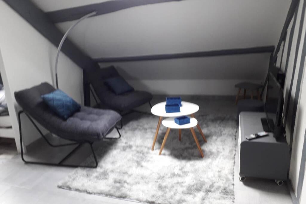 Loft Haut De Gamme Centre Montargis, Place De Parking, Local A Velos, Linge De Lits Et Serviettes, Coin Riviere Amenage, Hamac, Epicerie, Velos En Option, Tout Confort Jusqu'A 4 Voyageurs Екстериор снимка