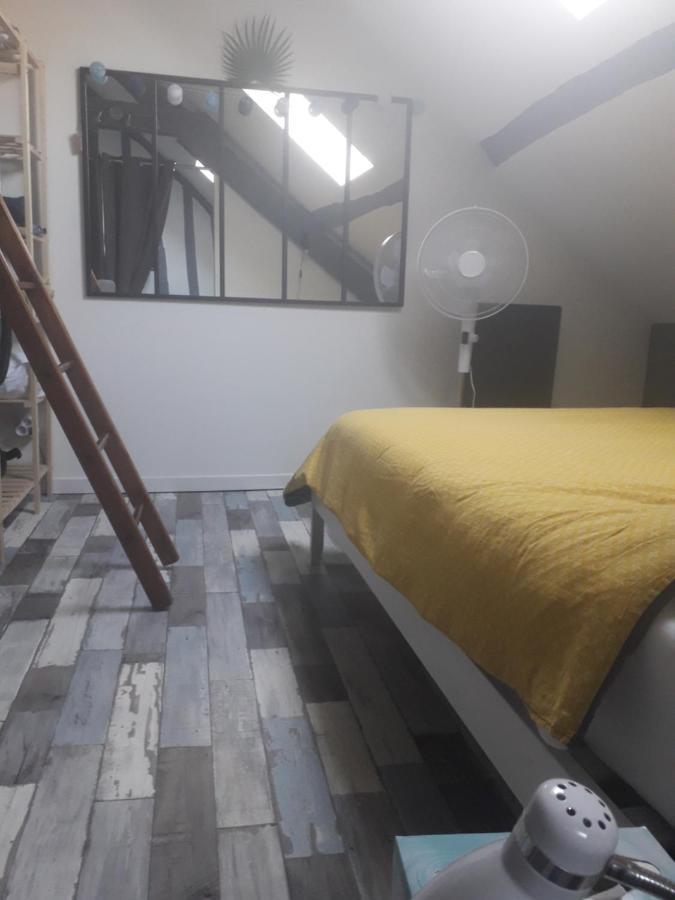Loft Haut De Gamme Centre Montargis, Place De Parking, Local A Velos, Linge De Lits Et Serviettes, Coin Riviere Amenage, Hamac, Epicerie, Velos En Option, Tout Confort Jusqu'A 4 Voyageurs Екстериор снимка