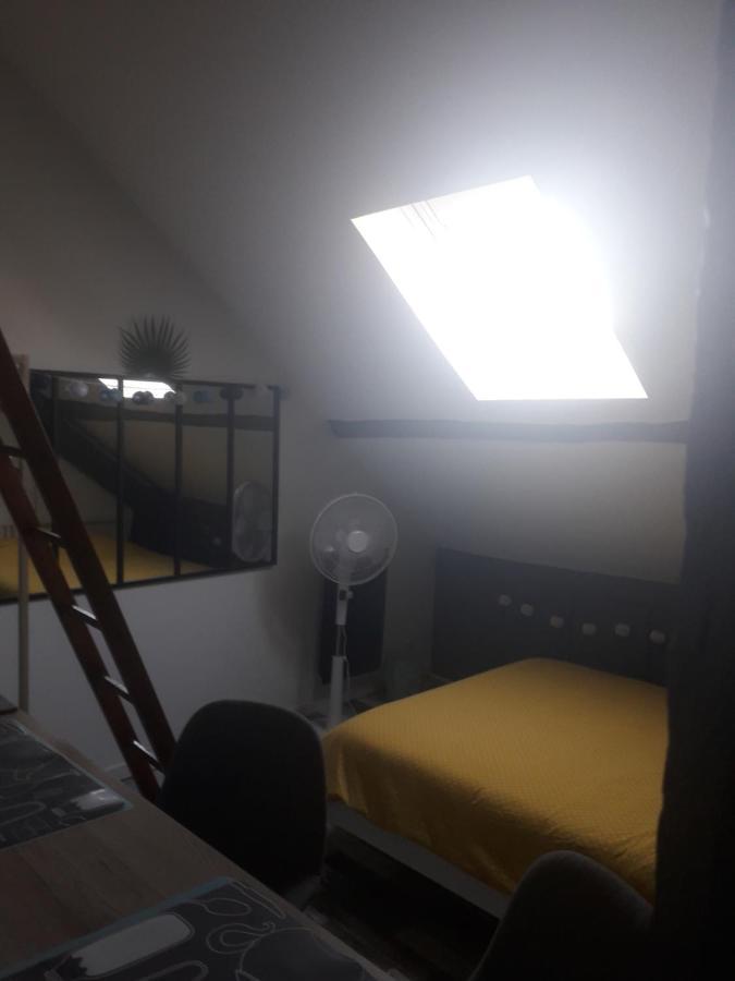 Loft Haut De Gamme Centre Montargis, Place De Parking, Local A Velos, Linge De Lits Et Serviettes, Coin Riviere Amenage, Hamac, Epicerie, Velos En Option, Tout Confort Jusqu'A 4 Voyageurs Екстериор снимка