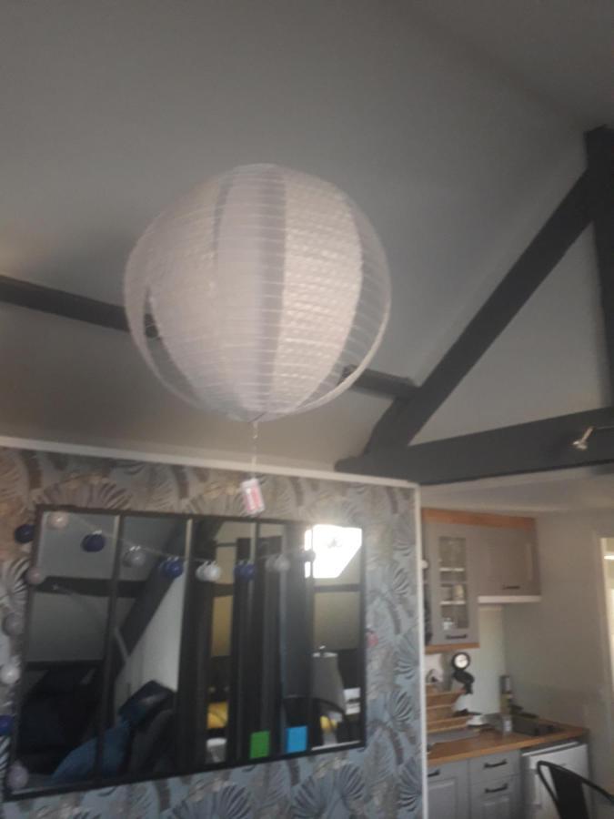 Loft Haut De Gamme Centre Montargis, Place De Parking, Local A Velos, Linge De Lits Et Serviettes, Coin Riviere Amenage, Hamac, Epicerie, Velos En Option, Tout Confort Jusqu'A 4 Voyageurs Екстериор снимка
