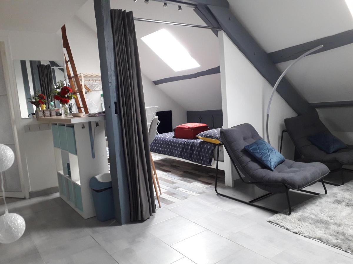 Loft Haut De Gamme Centre Montargis, Place De Parking, Local A Velos, Linge De Lits Et Serviettes, Coin Riviere Amenage, Hamac, Epicerie, Velos En Option, Tout Confort Jusqu'A 4 Voyageurs Екстериор снимка