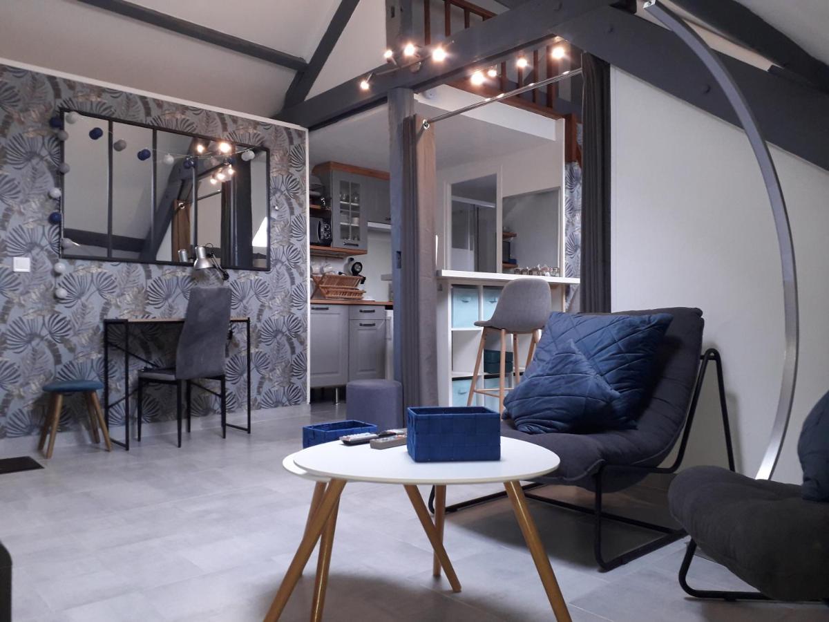 Loft Haut De Gamme Centre Montargis, Place De Parking, Local A Velos, Linge De Lits Et Serviettes, Coin Riviere Amenage, Hamac, Epicerie, Velos En Option, Tout Confort Jusqu'A 4 Voyageurs Екстериор снимка